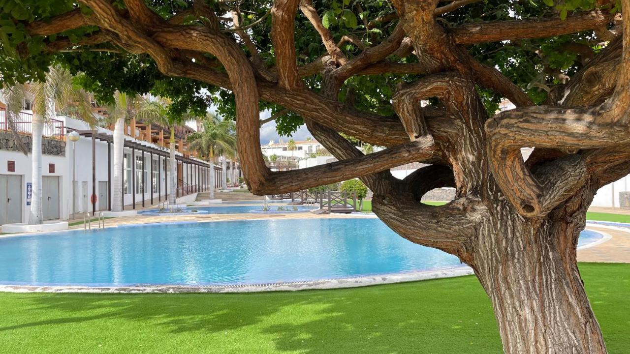 Casa Helen 2 Tenerife Sur Apartment San Miguel de Abona Exterior photo